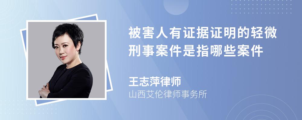 被害人有证据证明的轻微刑事案件是指哪些案件