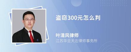 盗窃300元怎么判