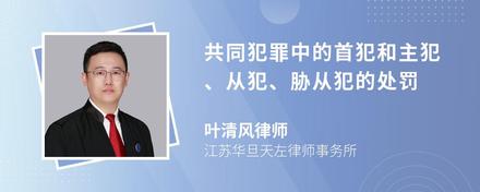 共同犯罪中的首犯和主犯、从犯、胁从犯的处罚