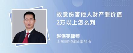 故意伤害他人财产罪价值2万以上怎么判