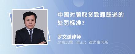 中国对骗取贷款罪既遂的处罚标准?