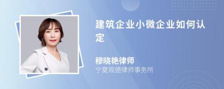 建筑企业小微企业如何认定