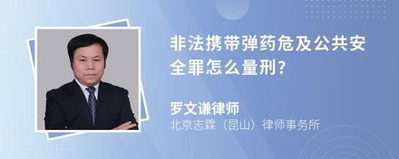 非法携带弹药危及公共安全罪怎么量刑?