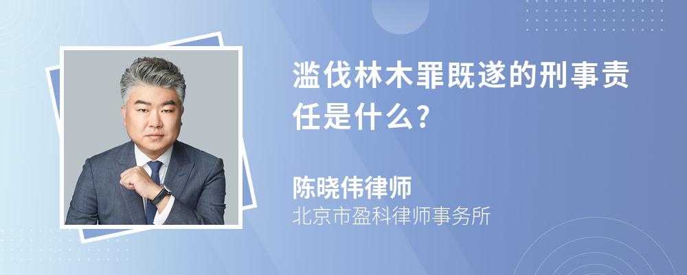 滥伐林木罪既遂的刑事责任是什么?