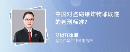 中国对盗窃爆炸物罪既遂的判刑标准?