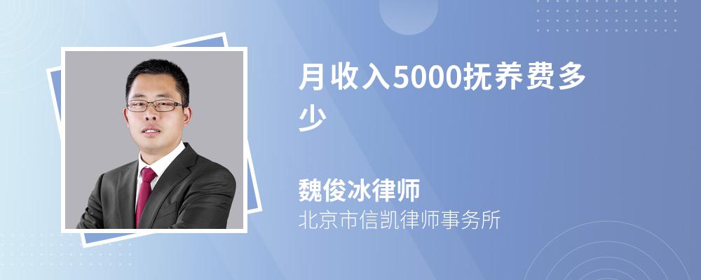 月收入5000抚养费多少