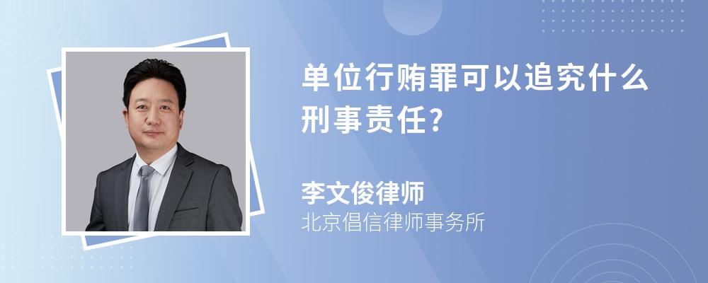 单位行贿罪可以追究什么刑事责任?