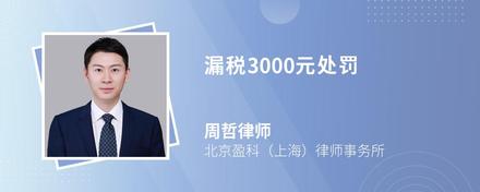 漏税3000元处罚