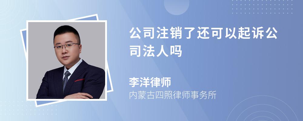 公司注销了还可以起诉公司法人吗