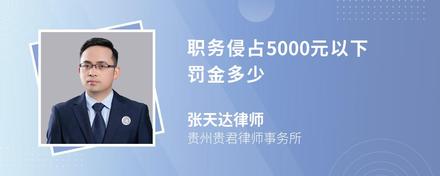 职务侵占5000元以下罚金多少