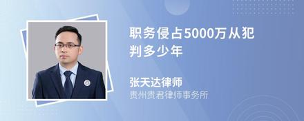 职务侵占5000万从犯判多少年