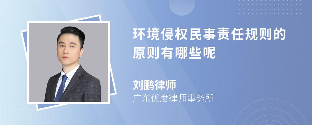 环境侵权民事责任规则的原则有哪些呢