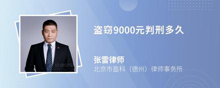 盗窃9000元判刑多久