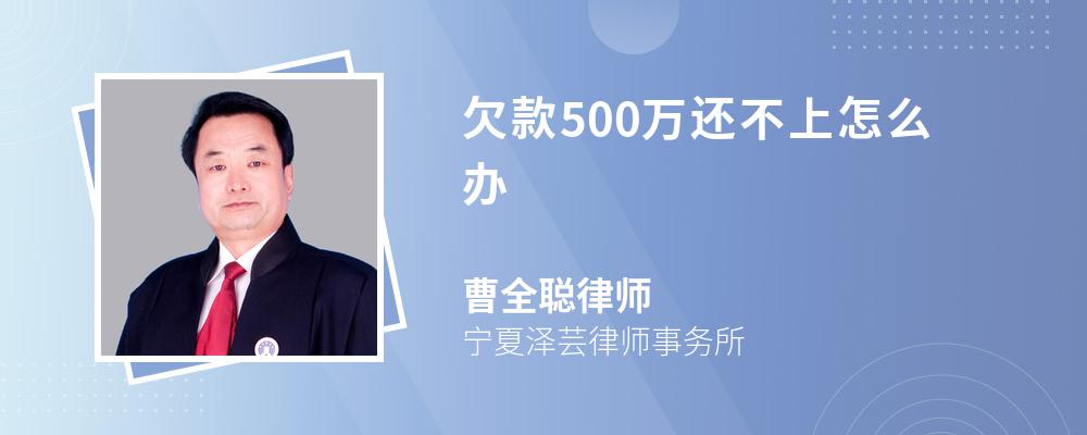 欠款500万还不上怎么办