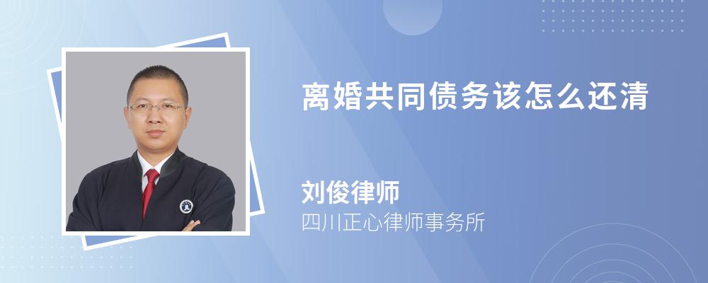 离婚共同债务该怎么还清