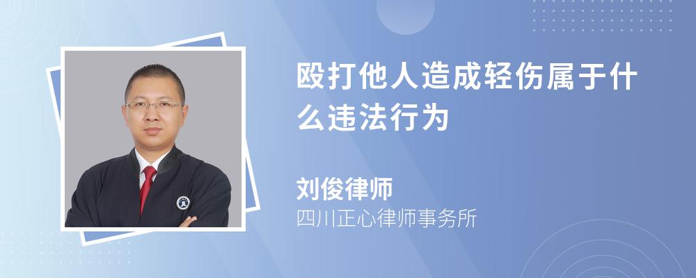 殴打他人造成轻伤属于什么违法行为