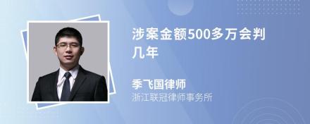 涉案金额500多万会判几年