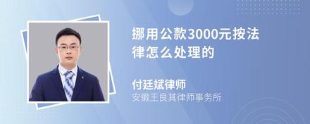 挪用公款3000元按法律怎么处理的