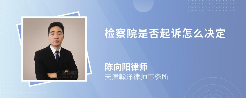 检察院是否起诉怎么决定