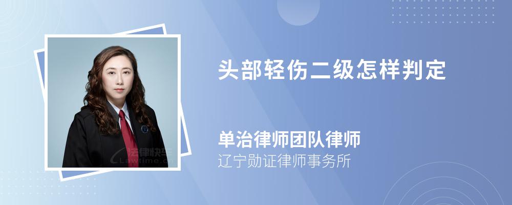 头部轻伤二级怎样判定