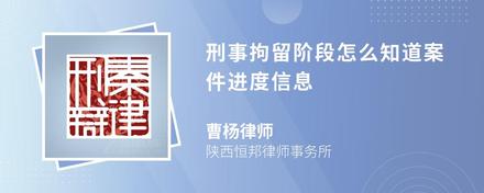 刑事拘留阶段怎么知道案件进度信息