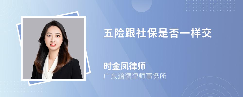 五险跟社保是否一样交