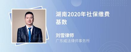 湖南2020年社保缴费基数