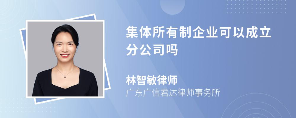 集体所有制企业可以成立分公司吗