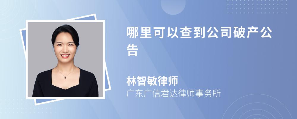 哪里可以查到公司破产公告