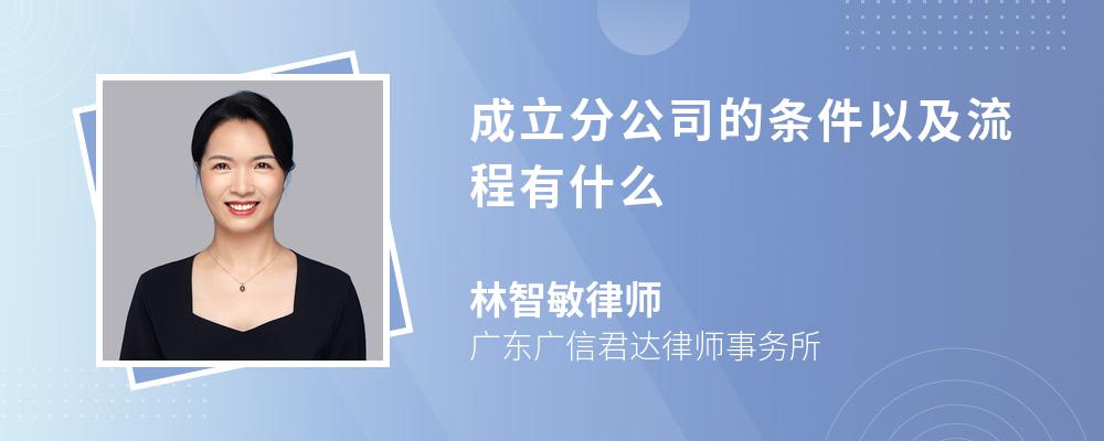 成立分公司的条件以及流程有什么