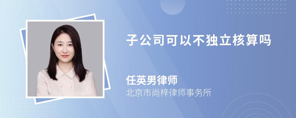 子公司可以不独立核算吗