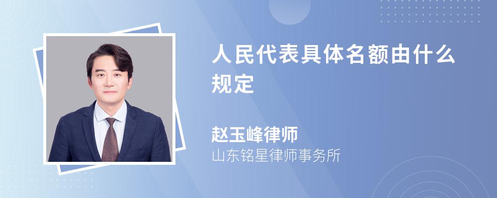 人民代表具体名额由什么规定