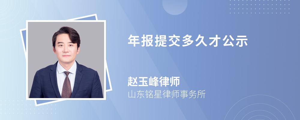 年报提交多久才公示