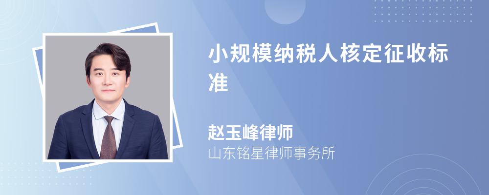 小规模纳税人核定征收标准