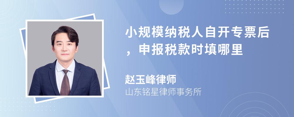 小规模纳税人自开专票后，申报税款时填哪里