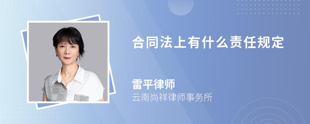 合同法上有什么责任规定