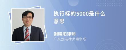 执行标的5000是什么意思