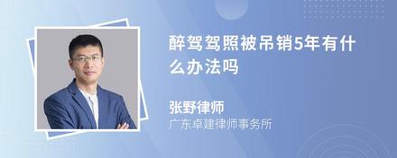 醉驾驾照被吊销5年有什么办法吗