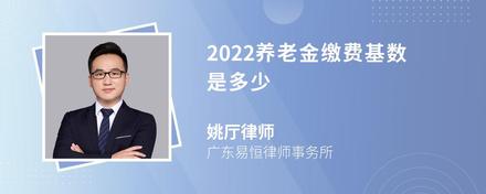 2022养老金缴费基数是多少