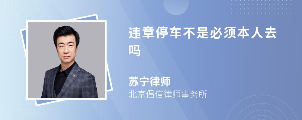 违章停车不是必须本人去吗