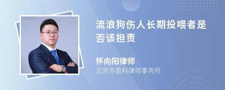 流浪狗伤人长期投喂者是否该担责