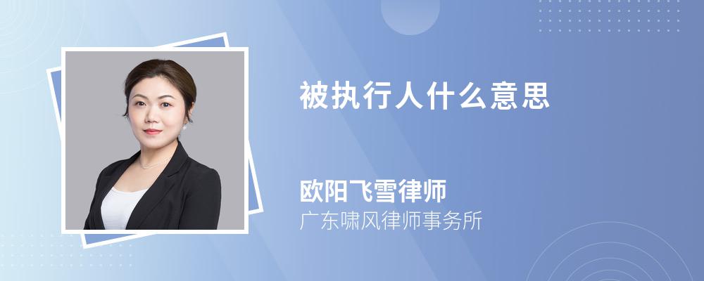 被执行人什么意思