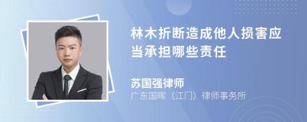 林木折断造成他人损害应当承担哪些责任