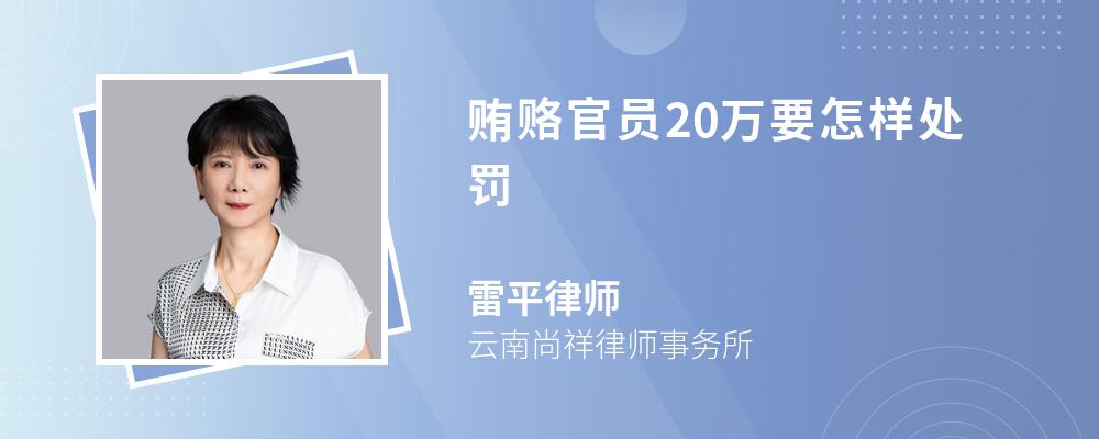 贿赂官员20万要怎样处罚