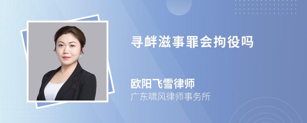 寻衅滋事罪会拘役吗