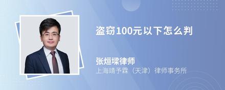 盗窃100元以下怎么判