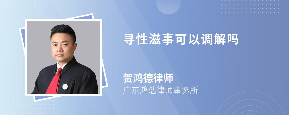 寻性滋事可以调解吗