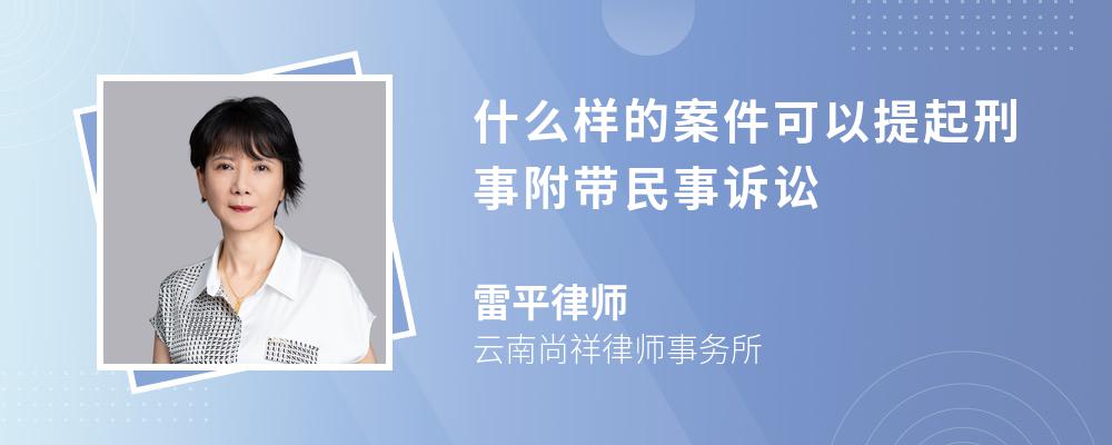 什么样的案件可以提起刑事附带民事诉讼