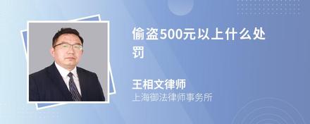 偷盗500元以上什么处罚