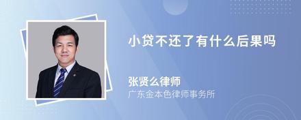 小贷不还了有什么后果吗